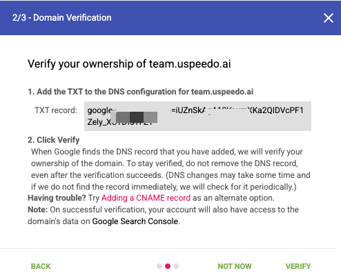 Domain Verification